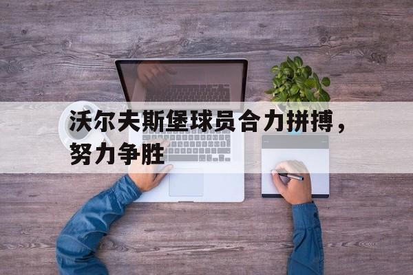 沃尔夫斯堡球员合力拼搏，努力争胜